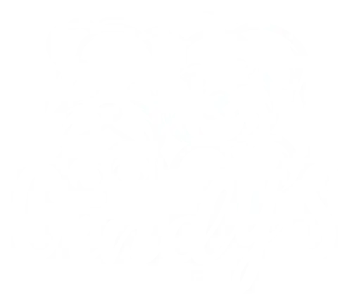 Cindy's Puppies