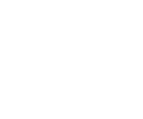 Lil Fine's BBQ